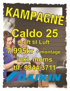 kampagne daikin A4 (Large)1